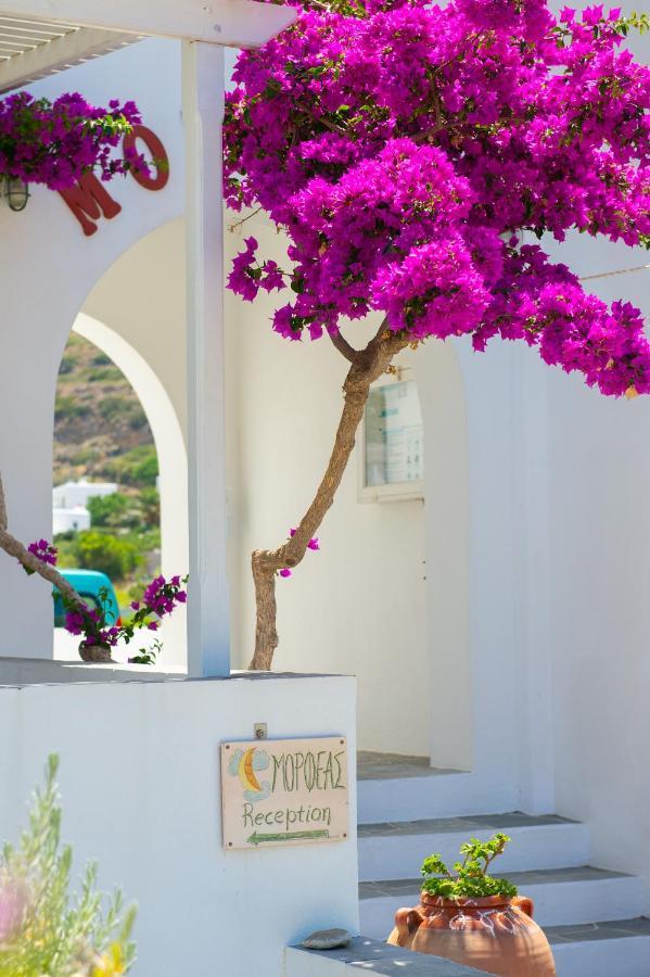 Morpheas Pension Rooms & Apartments Kamares  المظهر الخارجي الصورة
